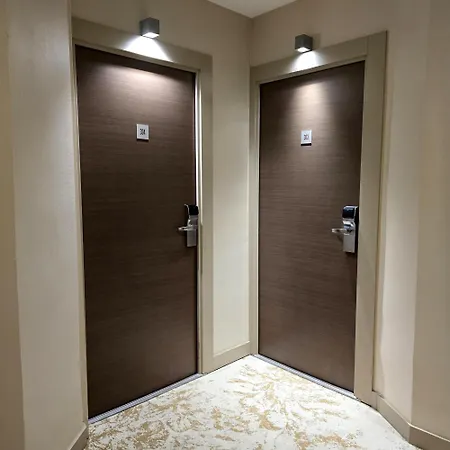 尼斯卡尔顿酒店